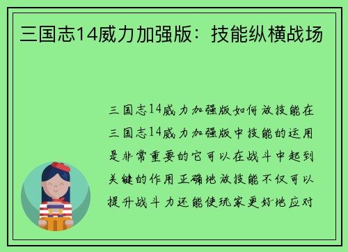 三国志14威力加强版：技能纵横战场